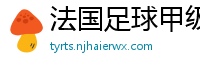 法国足球甲级联赛